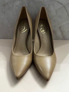 Delman Pointed Toe Pumps in Taupe